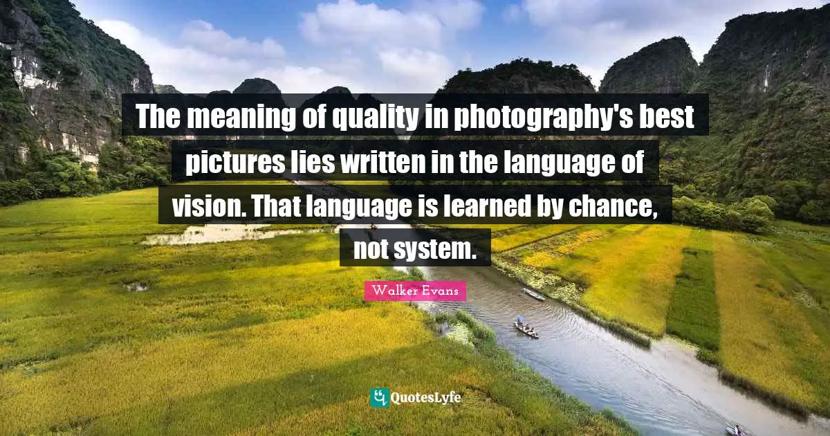 The meaning of quality in photography's best pictures lies written in the language of vision. That language is learned by chance, not system.