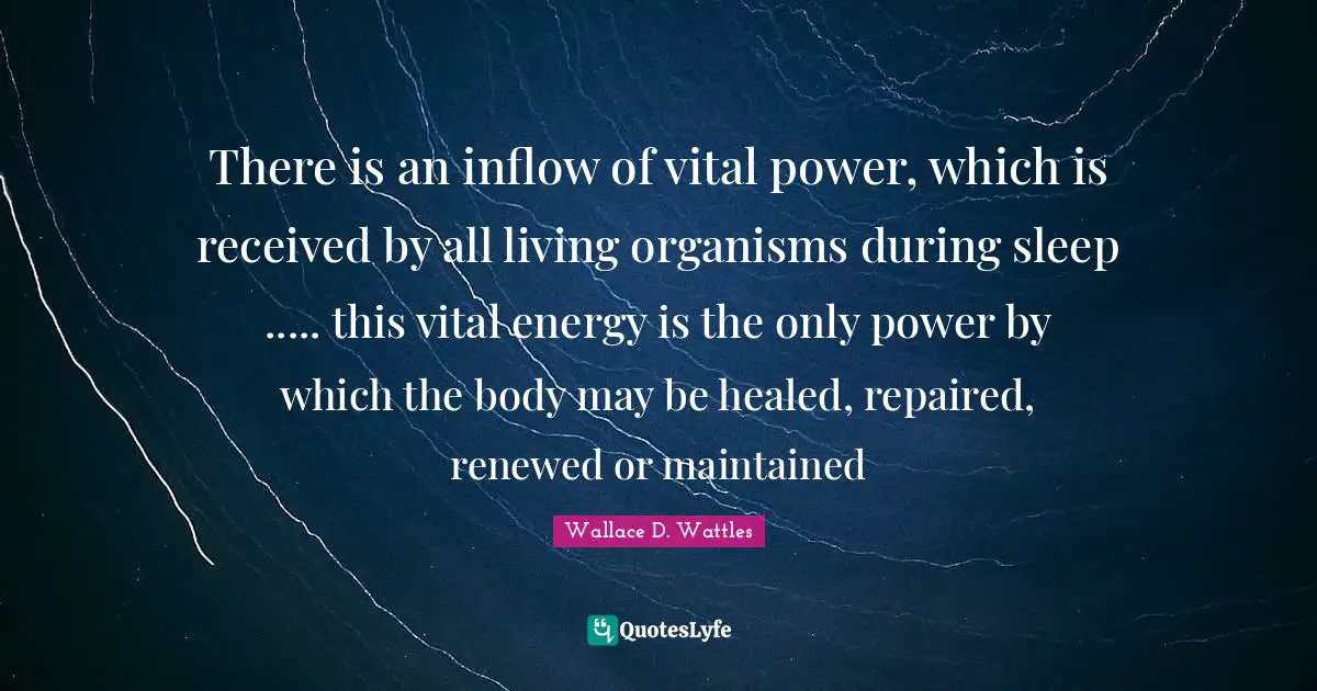 There is an inflow of vital power, which is received by all living organisms during sleep ..... this vital energy is the only power by which the body may be healed, repaired, renewed or maintained