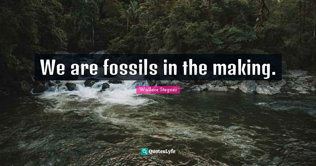 We are fossils in the making.