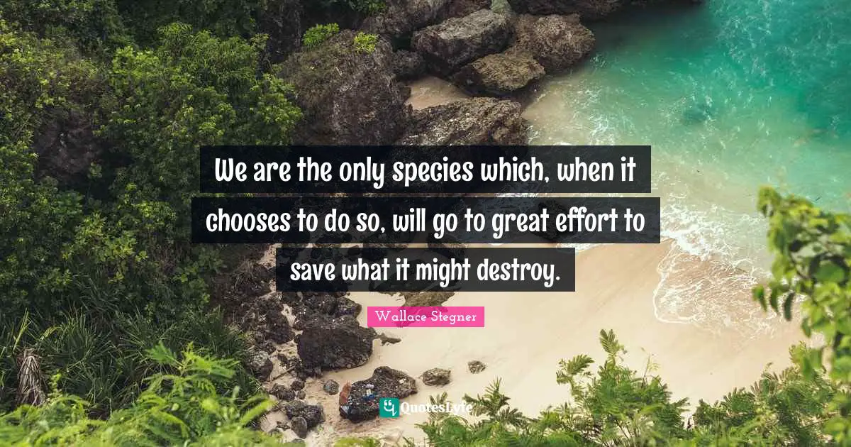 We are the only species which, when it chooses to do so, will go to great effort to save what it might destroy.