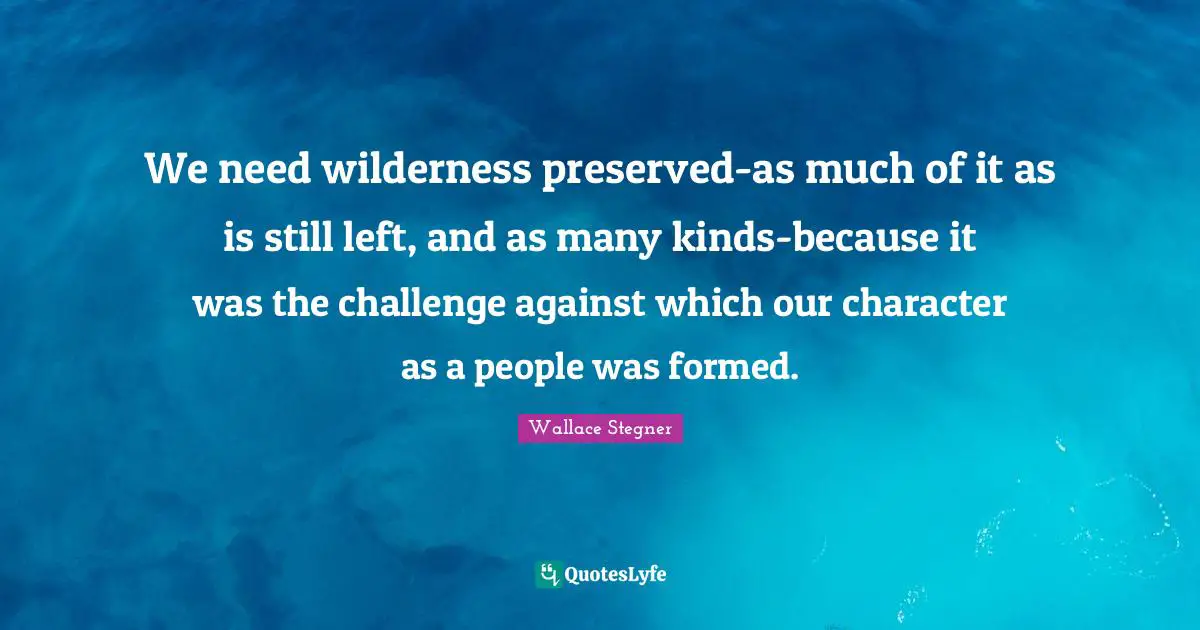 We need wilderness preserved-as much of it as is still left, and as many kinds-because it was the challenge against which our character as a people was formed.