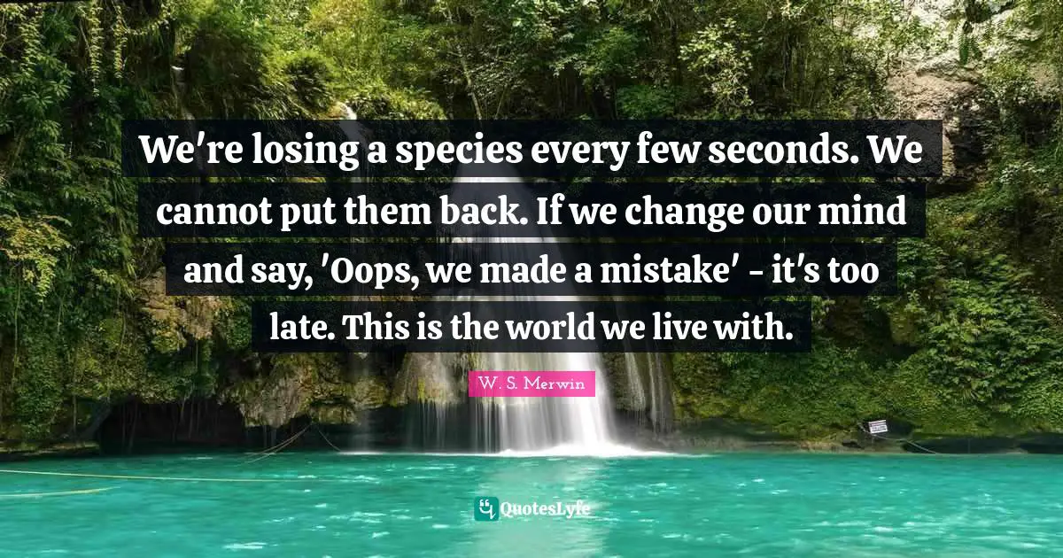 We're losing a species every few seconds. We cannot put them back. If we change our mind and say, 'Oops, we made a mistake' - it's too late. This is the world we live with.