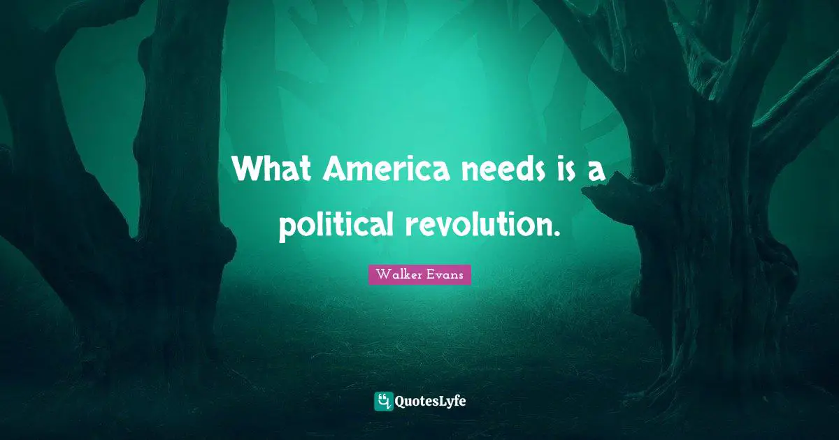 What America needs is a political revolution.
