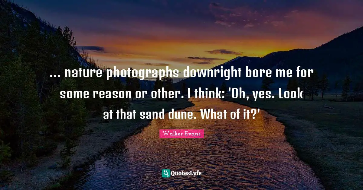 ... nature photographs downright bore me for some reason or other. I think: 'Oh, yes. Look at that sand dune. What of it?'