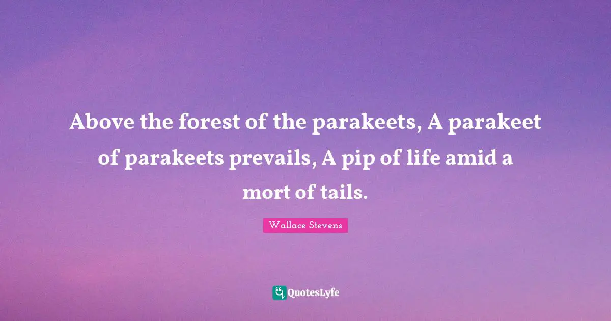 Above the forest of the parakeets, A parakeet of parakeets prevails, A pip of life amid a mort of tails.