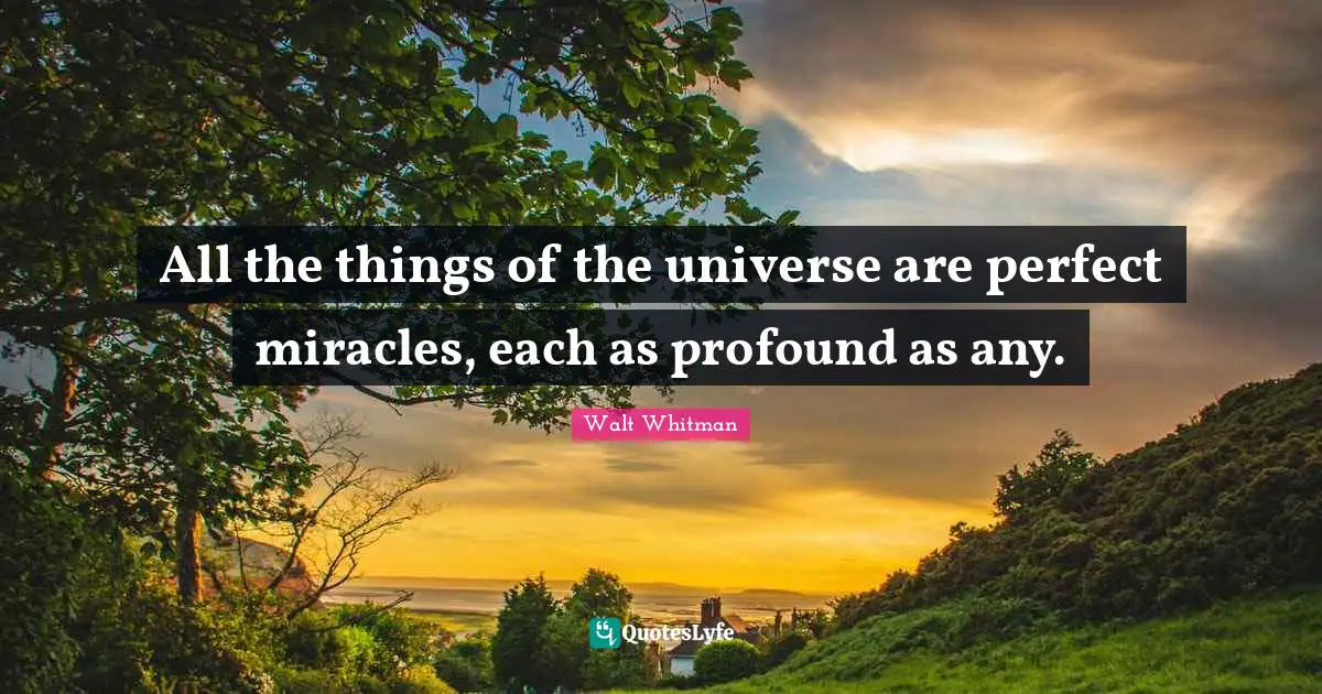 All the things of the universe are perfect miracles, each as profound as any.