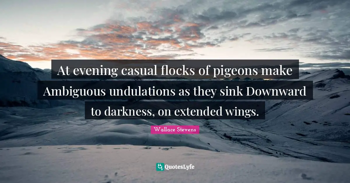 At evening casual flocks of pigeons make Ambiguous undulations as they sink Downward to darkness, on extended wings.