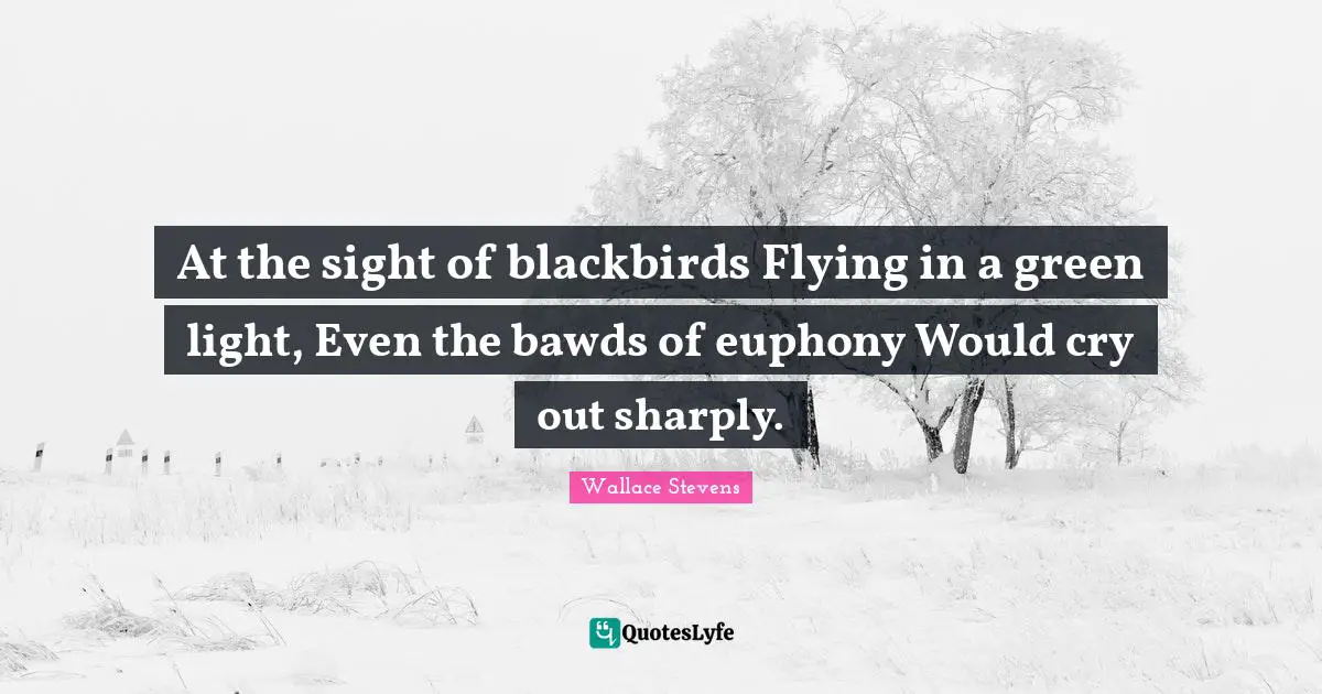 At the sight of blackbirds Flying in a green light, Even the bawds of euphony Would cry out sharply.
