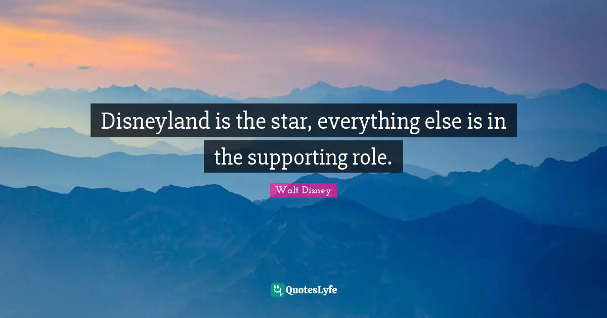 Disneyland is the star, everything else is in the supporting role.