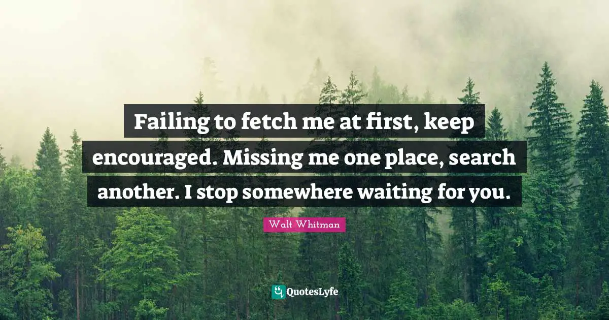 Fetch Quotes: "Failing to fetch me at first, keep encouraged. Missing me one place, search another. I stop somewhere waiting for you."