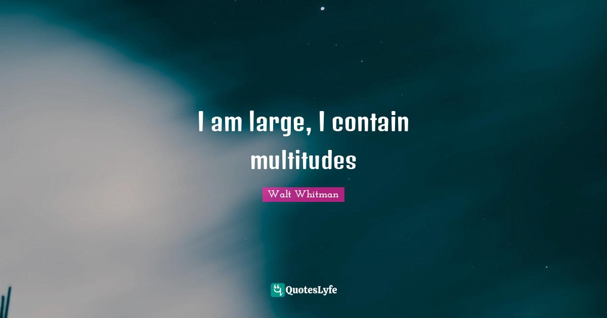 I am large, I contain multitudes