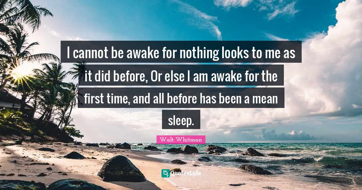 I cannot be awake for nothing looks to me as it did before, Or else I am awake for the first time, and all before has been a mean sleep.