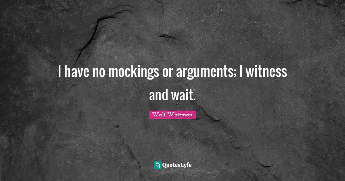 I have no mockings or arguments; I witness and wait.