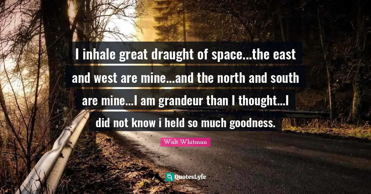 I inhale great draught of space...the east and west are mine...and the north and south are mine...I am grandeur than I thought...I did not know i held so much goodness.