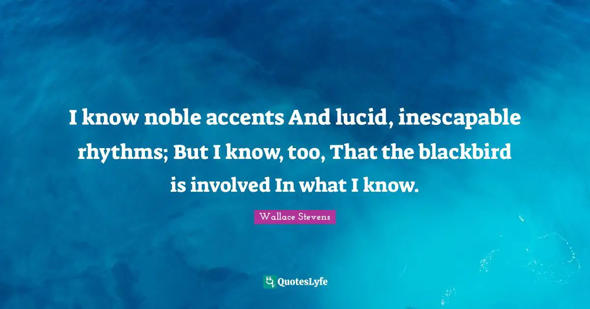 I know noble accents And lucid, inescapable rhythms; But I know, too, That the blackbird is involved In what I know.