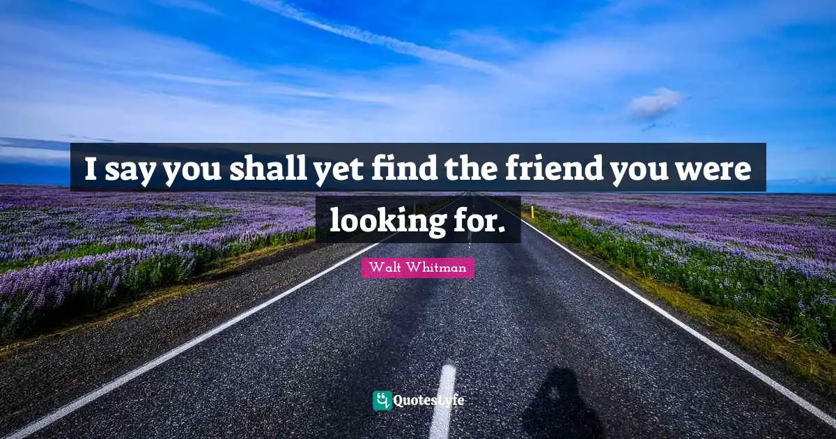 I say you shall yet find the friend you were looking for.