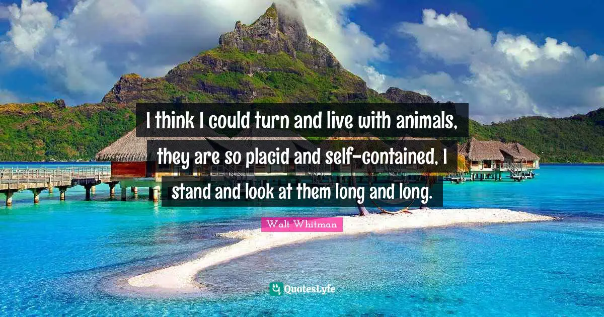 Walt Whitman Quotes: "I think I could turn and live with animals, they are so placid and self-contained, I stand and look at them long and long."