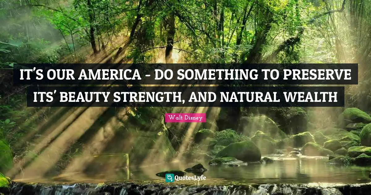 IT'S OUR AMERICA - DO SOMETHING TO PRESERVE ITS' BEAUTY STRENGTH, AND NATURAL WEALTH