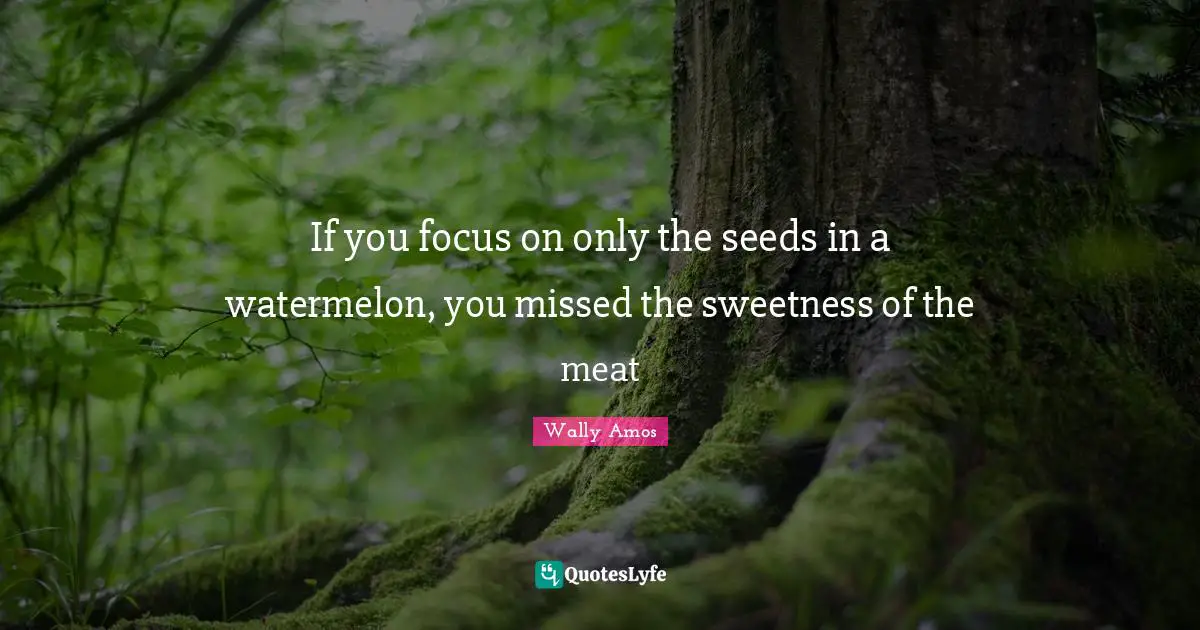 If you focus on only the seeds in a watermelon, you missed the sweetness of the meat