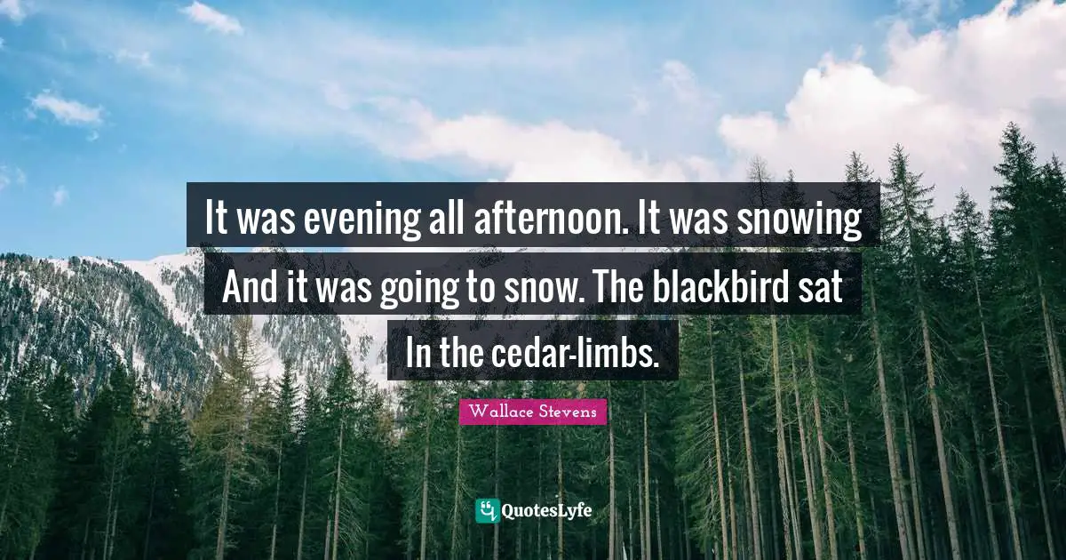 It was evening all afternoon. It was snowing And it was going to snow. The blackbird sat In the cedar-limbs.