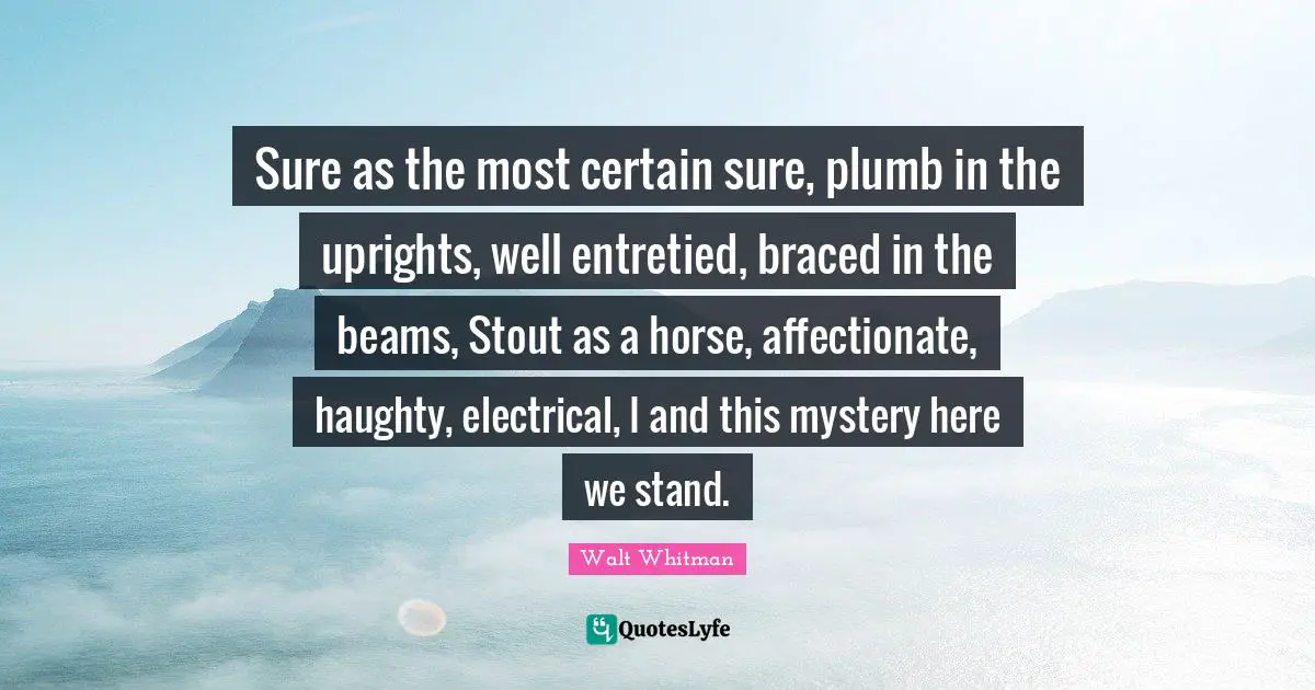 Stout Quotes: "Sure as the most certain sure, plumb in the uprights, well entretied, braced in the beams, Stout as a horse, affectionate, haughty, electrical, I and this mystery here we stand."
