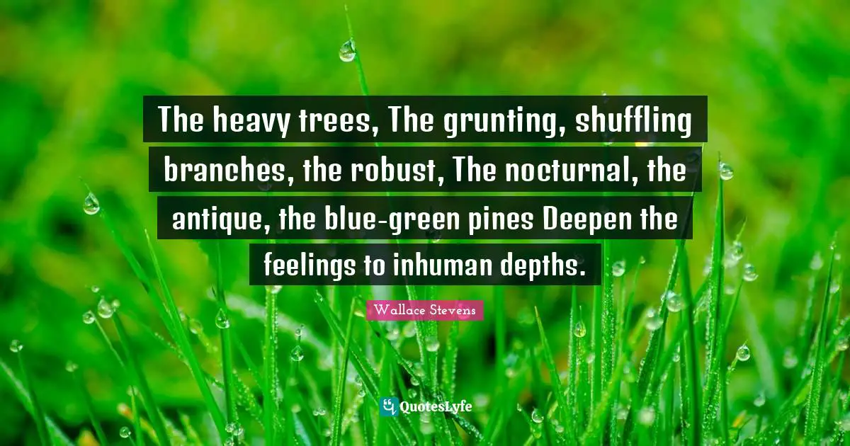 The heavy trees, The grunting, shuffling branches, the robust, The nocturnal, the antique, the blue-green pines Deepen the feelings to inhuman depths.