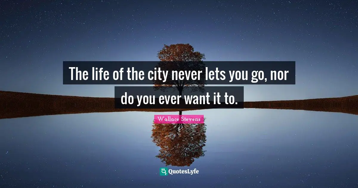 The life of the city never lets you go, nor do you ever want it to.