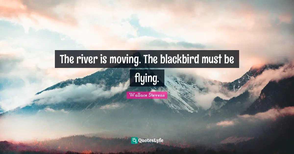 The river is moving. The blackbird must be flying.