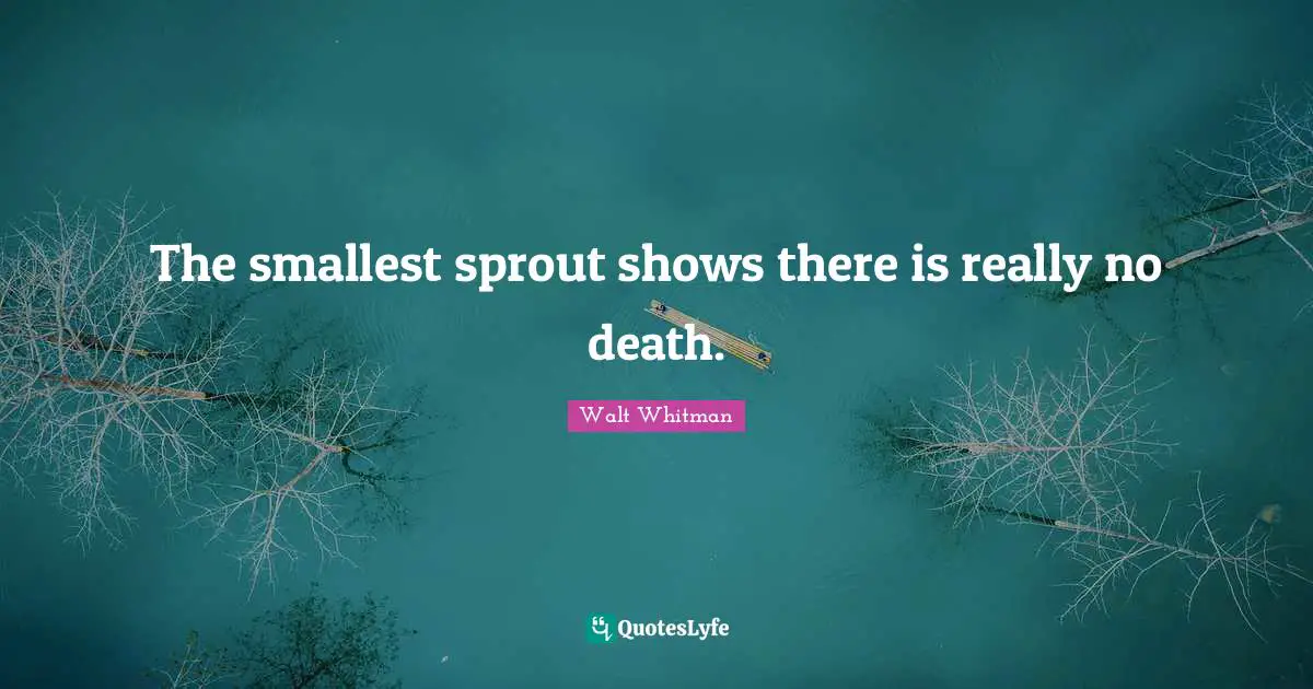 Leaves Of Grass Quotes: "The smallest sprout shows there is really no death."