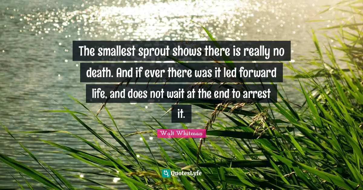 Leaves Of Grass Quotes: "The smallest sprout shows there is really no death. And if ever there was it led forward life, and does not wait at the end to arrest it."