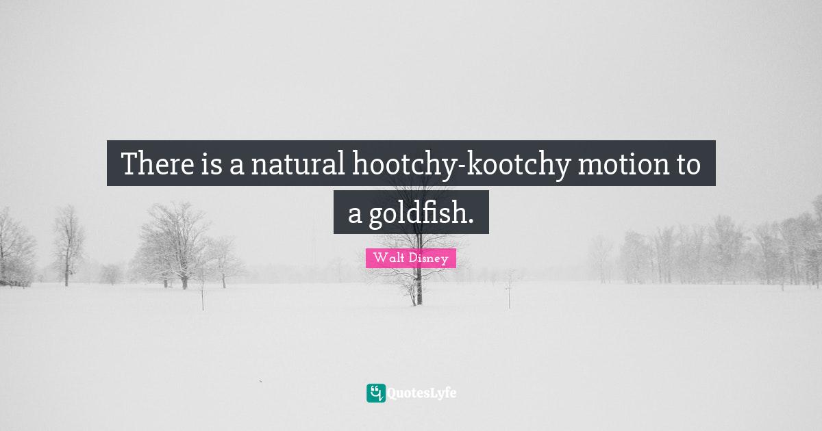 There is a natural hootchy-kootchy motion to a goldfish.