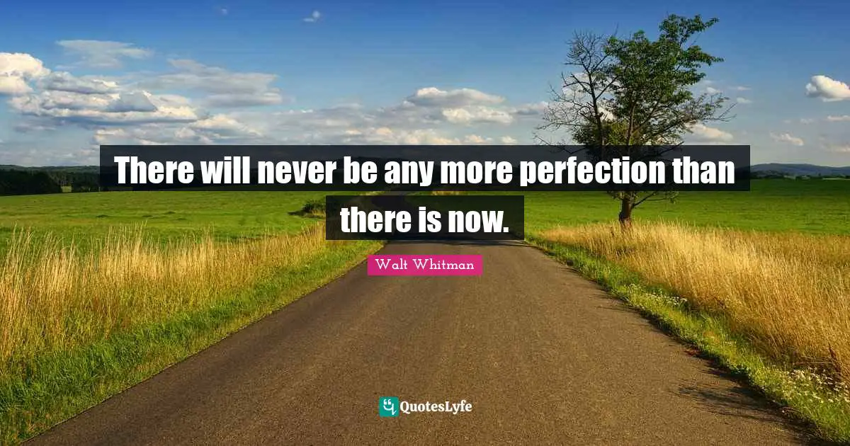 Leaves Of Grass Quotes: "There will never be any more perfection than there is now."