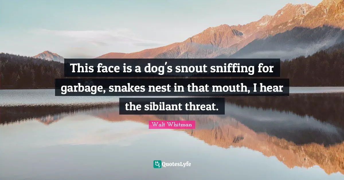 Sniffing Quotes: "This face is a dog's snout sniffing for garbage, snakes nest in that mouth, I hear the sibilant threat."