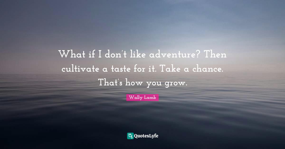What if I don’t like adventure? Then cultivate a taste for it. Take a chance. That’s how you grow.