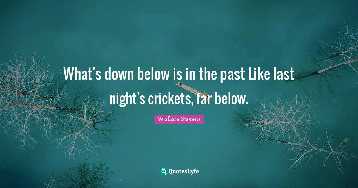 What's down below is in the past Like last night's crickets, far below.