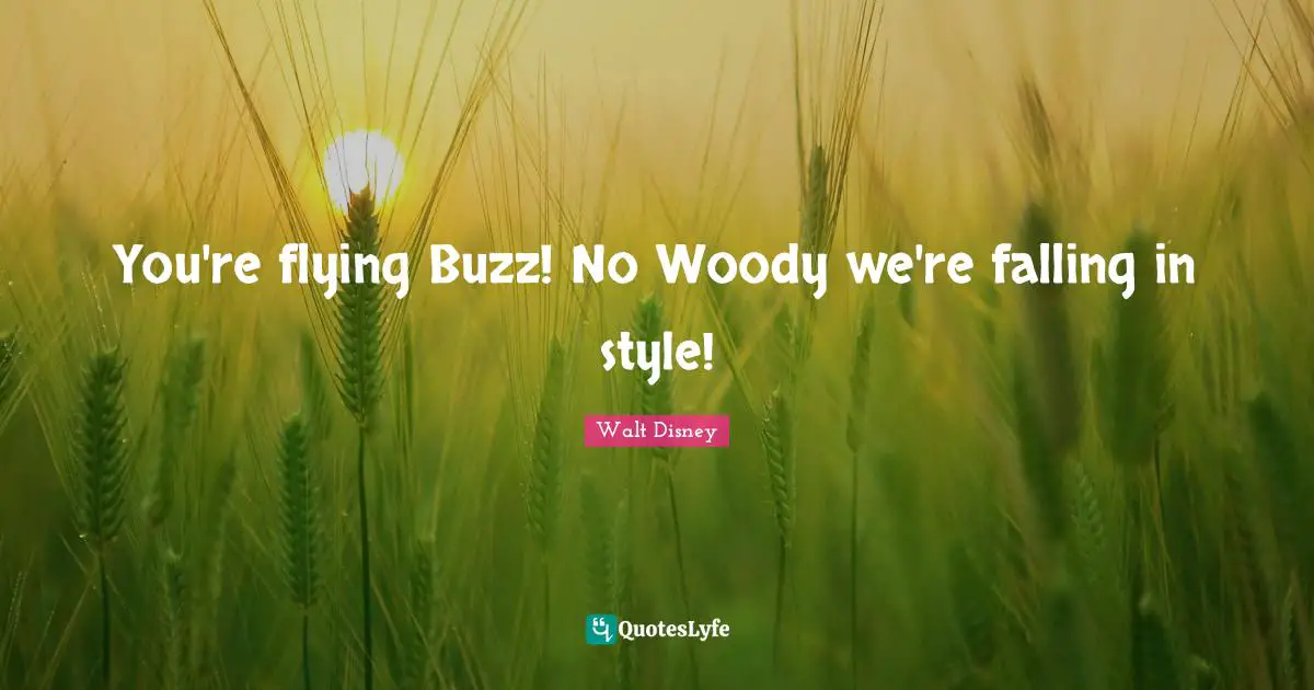 You're flying Buzz! No Woody we're falling in style!
