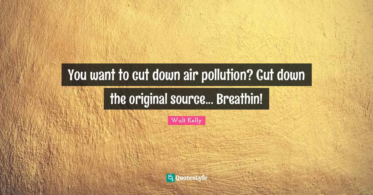 You want to cut down air pollution? Cut down the original source... Breathin!