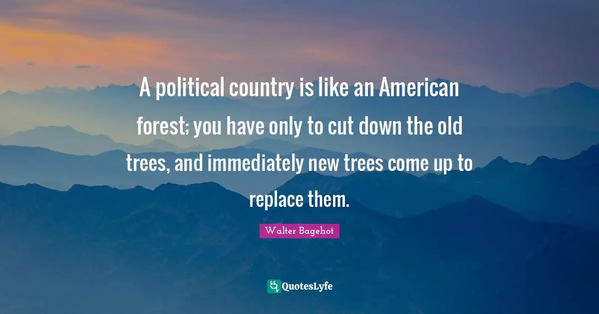 A political country is like an American forest; you have only to cut down the old trees, and immediately new trees come up to replace them.