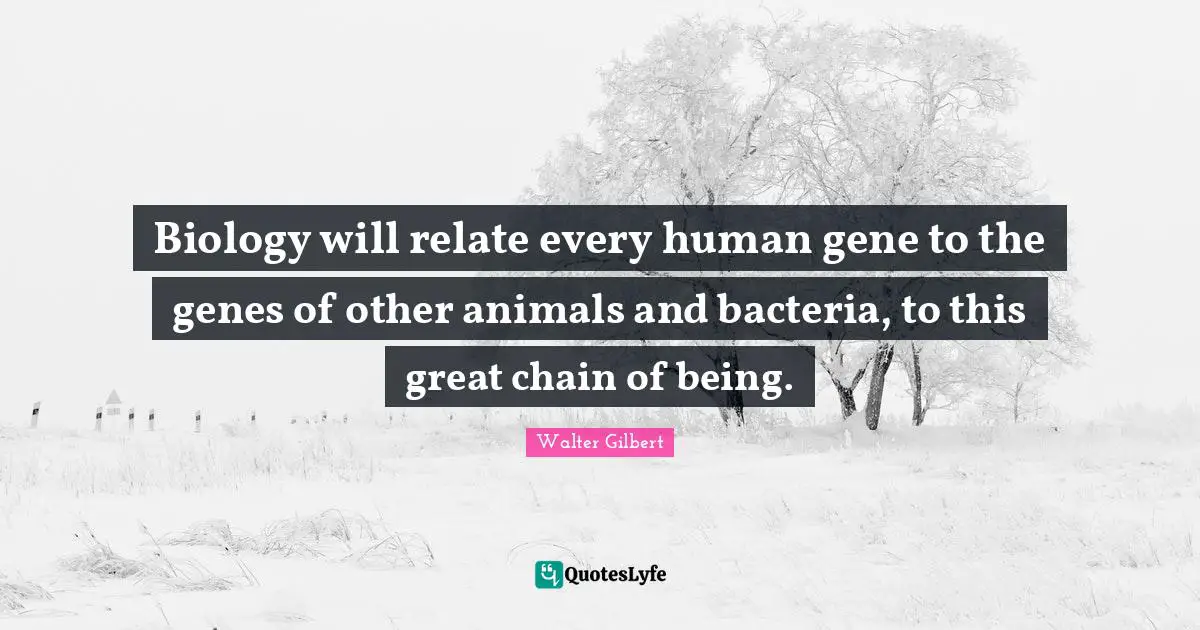 Biology will relate every human gene to the genes of other animals and bacteria, to this great chain of being.