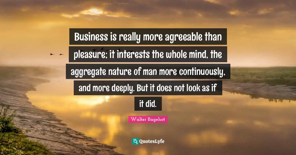 Walter Bagehot Quotes: "Business is really more agreeable than pleasure; it interests the whole mind, the aggregate nature of man more continuously, and more deeply. But it does not look as if it did."