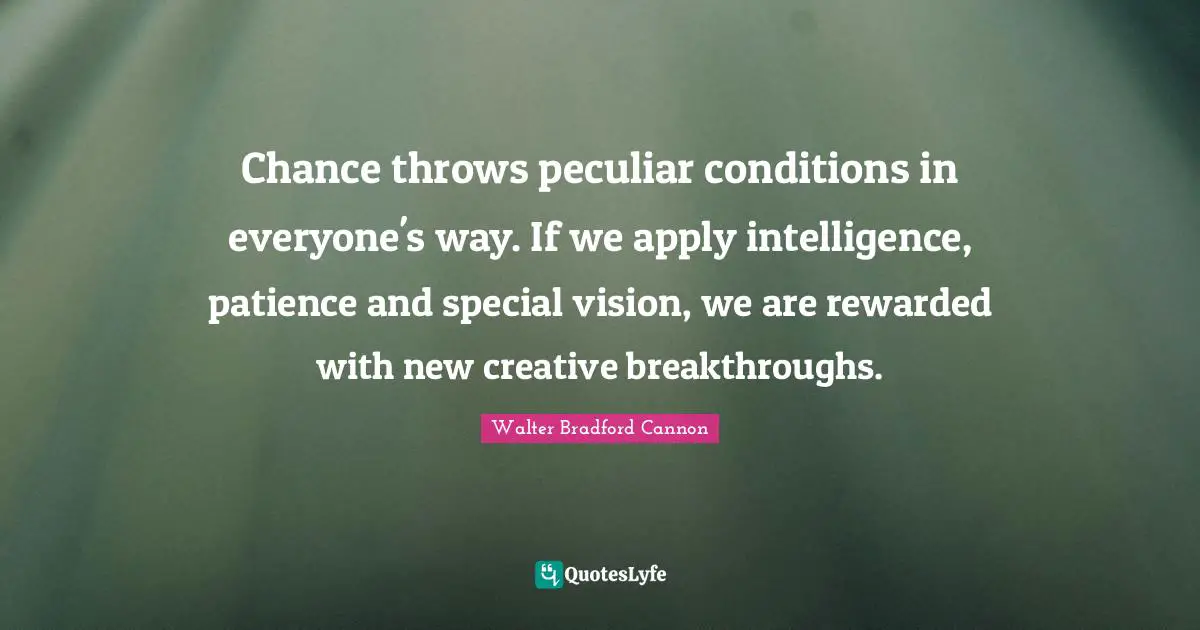 Chance throws peculiar conditions in everyone's way. If we apply intelligence, patience and special vision, we are rewarded with new creative breakthroughs.
