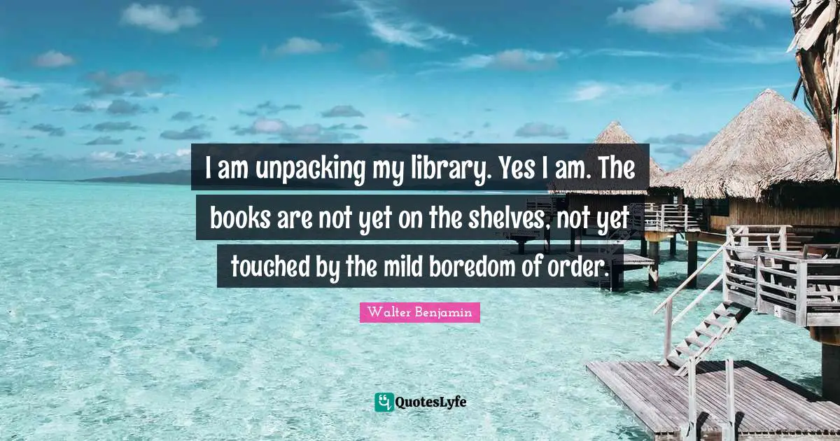 I am unpacking my library. Yes I am. The books are not yet on the shelves, not yet touched by the mild boredom of order.