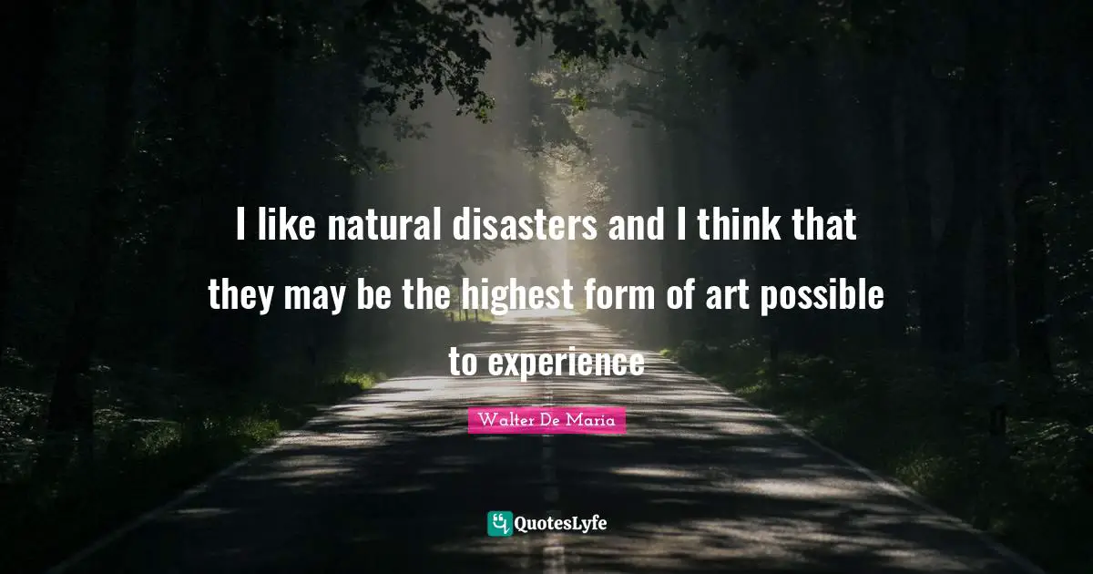 I like natural disasters and I think that they may be the highest form of art possible to experience