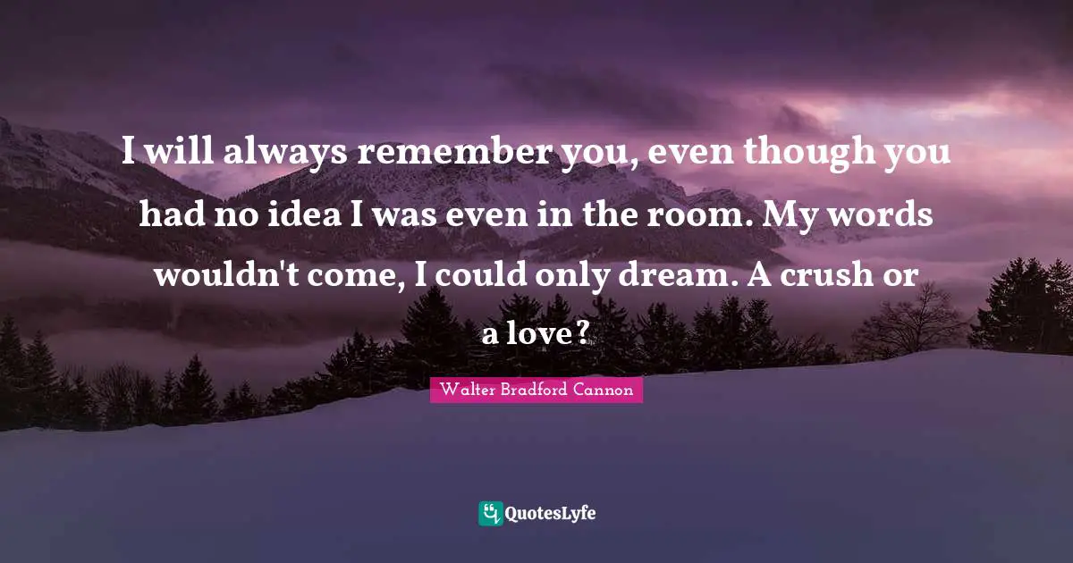 I will always remember you, even though you had no idea I was even in the room. My words wouldn't come, I could only dream. A crush or a love?