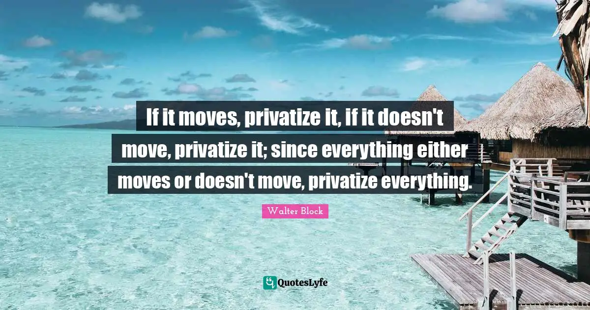 If it moves, privatize it, if it doesn't move, privatize it; since everything either moves or doesn't move, privatize everything.