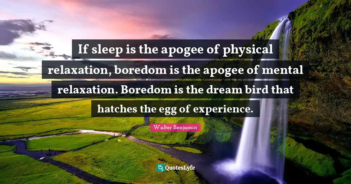 If sleep is the apogee of physical relaxation, boredom is the apogee of mental relaxation. Boredom is the dream bird that hatches the egg of experience.