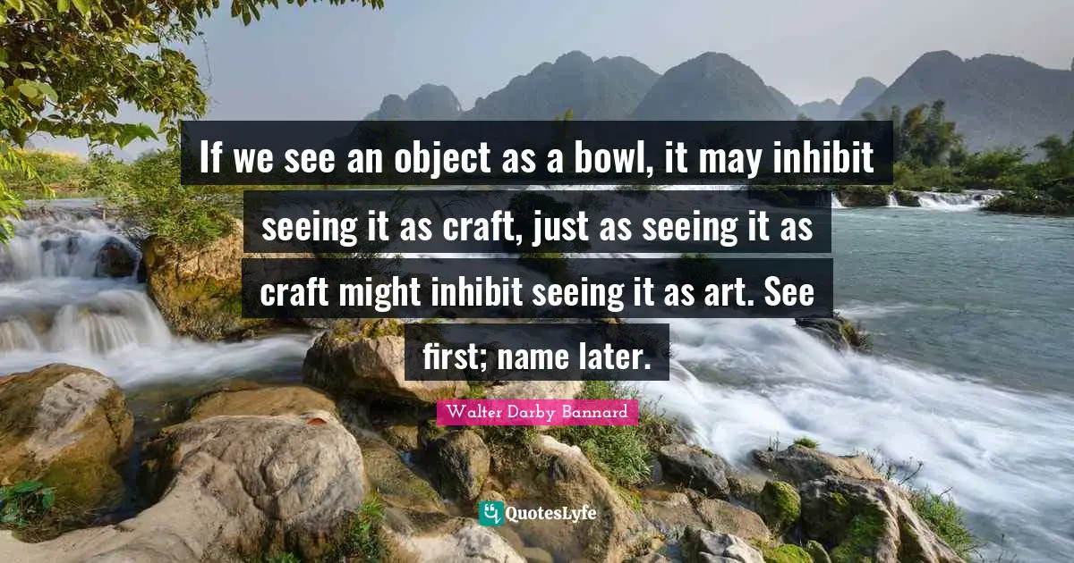 If we see an object as a bowl, it may inhibit seeing it as craft, just as seeing it as craft might inhibit seeing it as art. See first; name later.