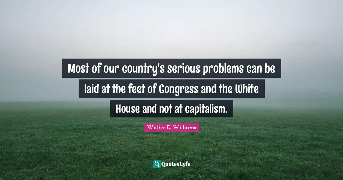 Most of our country's serious problems can be laid at the feet of Congress and the White House and not at capitalism.