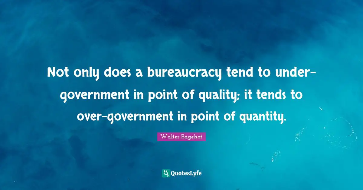 Not only does a bureaucracy tend to under-government in point of quality; it tends to over-government in point of quantity.