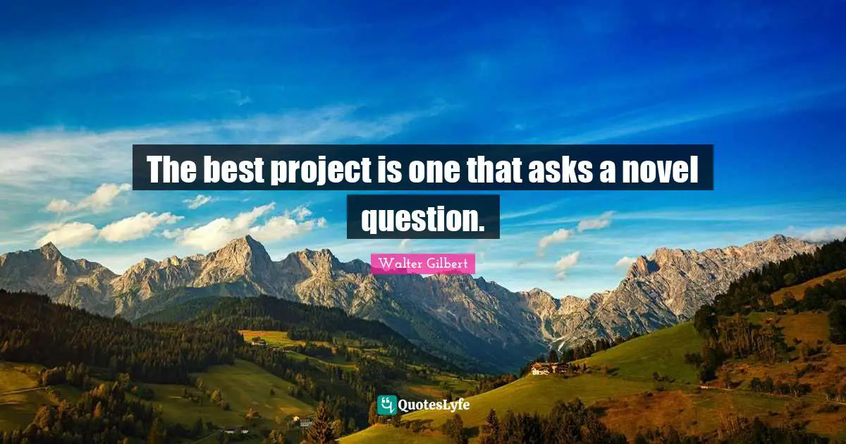 The best project is one that asks a novel question.